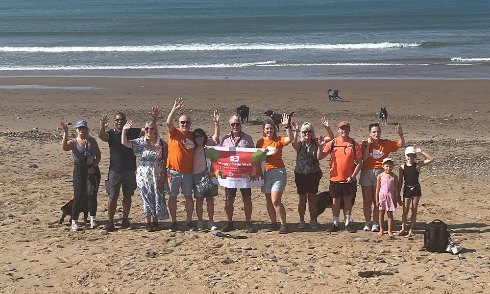 Charity Highlights Waggytails
